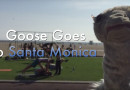 Gabbing with Goose – Goose Goes to Santa Monica