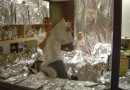 Rules To Being a Better Person on April Fools Day