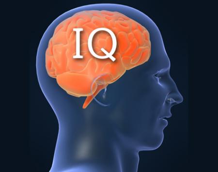 What is your IQ?