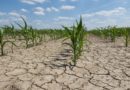 Opinion: I Miss the Drought