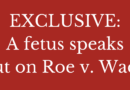 EXCLUSIVE: A Fetus Speaks Out On Roe v. Wade