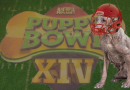 Dog Tom Brady Retires After 22nd Season of Puppy Bowl