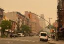 “See, New York Is Just Fucking Better than LA,” Coughs USC New Yorker Through Cloud of Smoke￼