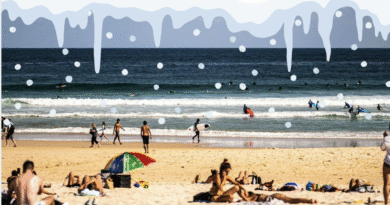 USC Students Take Class Off for Beach Day in Solidarity with East Coast Snow Storm USC Students Take Class Off for Beach Day in Solidarity with East Coast Snow Storm