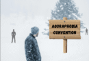 Hundreds Gather for National Agoraphobia Convention