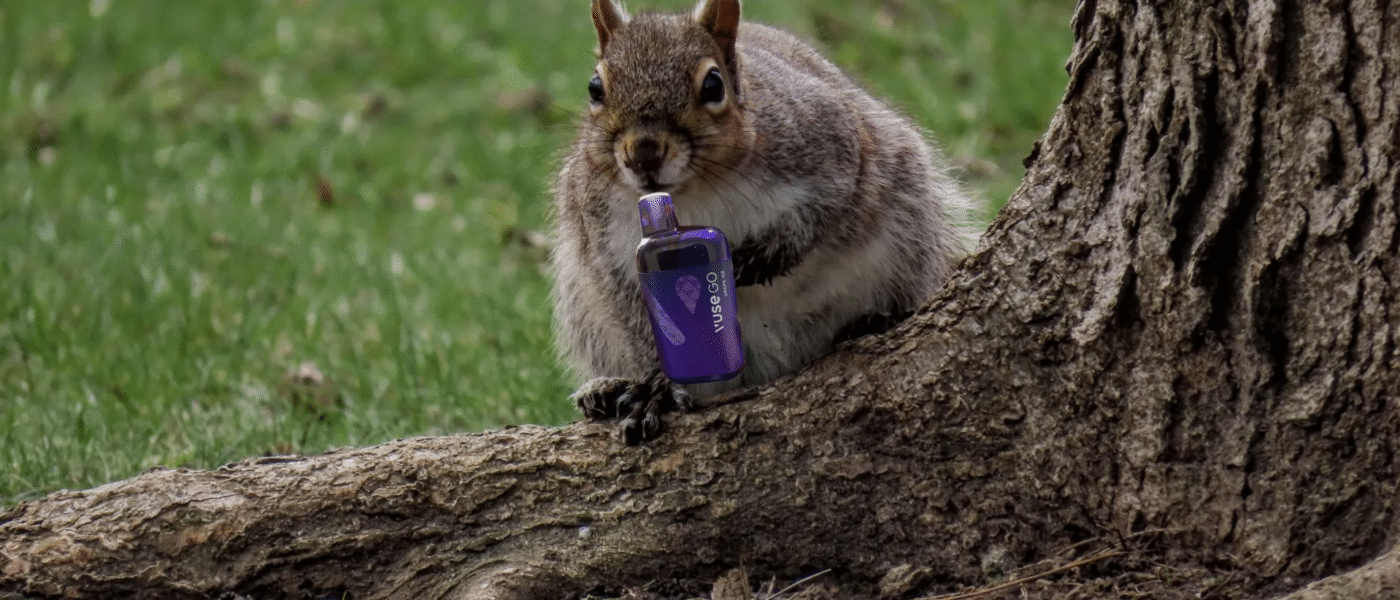Squirrels Now Begging to Hit Your Vape Too